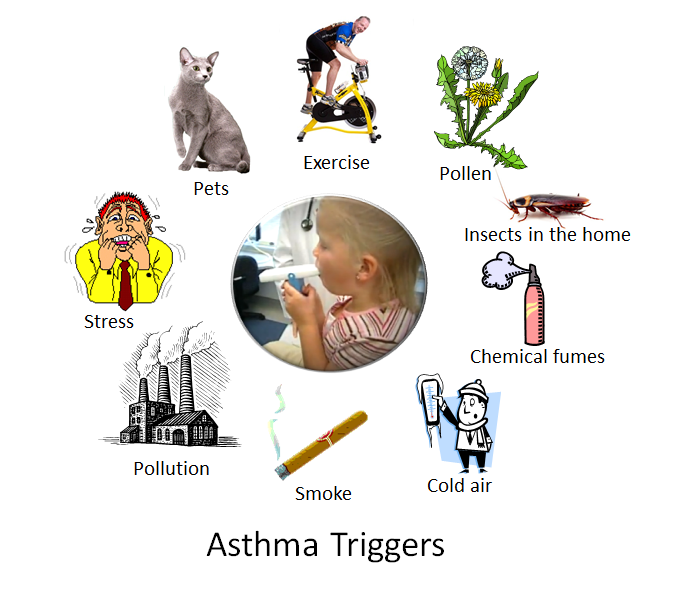 Asthma-Trigger