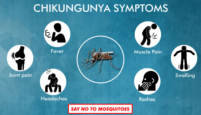 Chikungunya-symptoms
