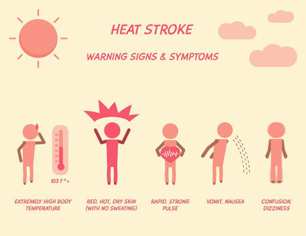 Heat Stroke symptoms