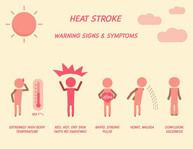 What Causes Heat Stroke In Humans