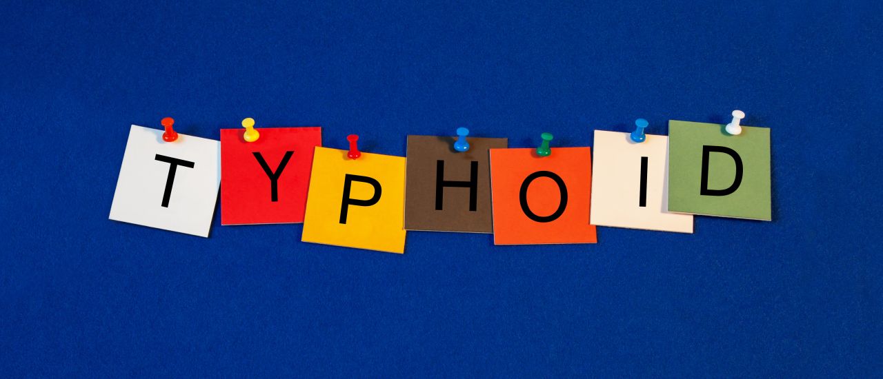 Typhoid