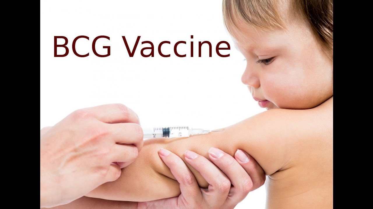 bcg-vaccine