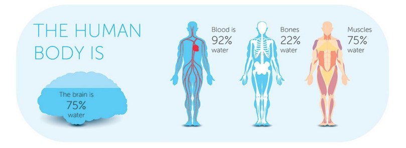 Dehydration Causes Signs Symptoms And Prevention Rxdx Whitefield Bangalore 