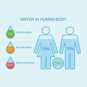 water in human body